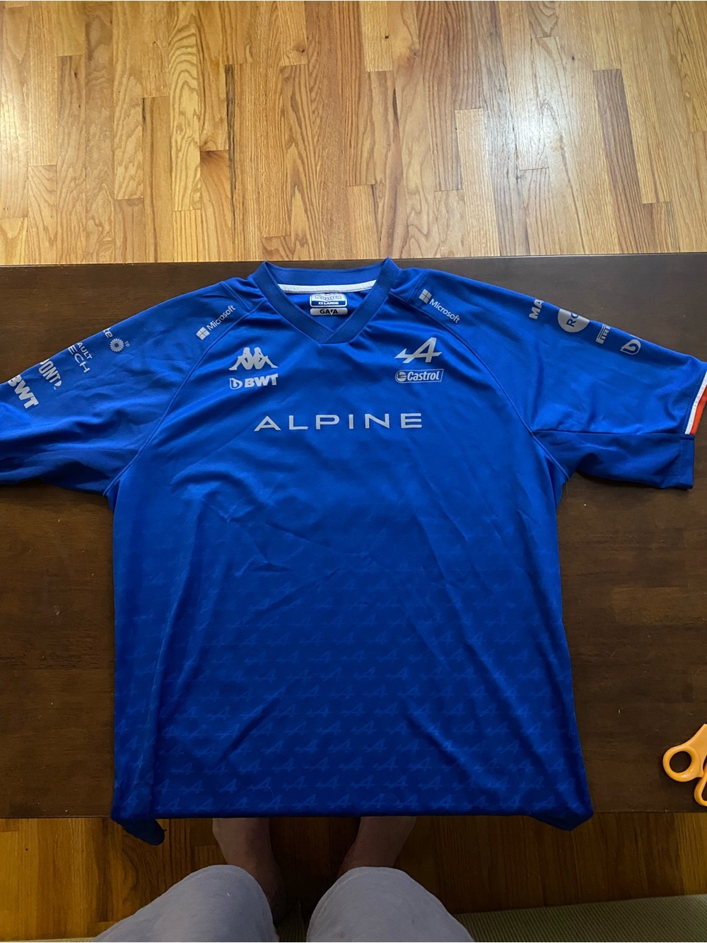 Kappa Alpine Men's Blue Team Jersey